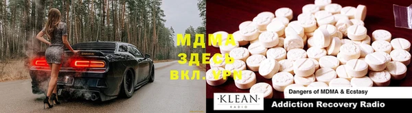 гашик Вяземский