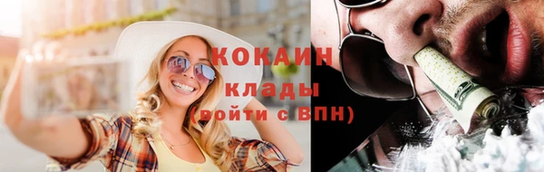 гашик Вяземский