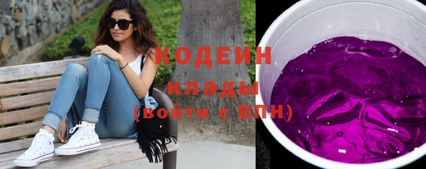 гашик Вяземский