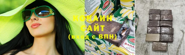 гашик Вяземский