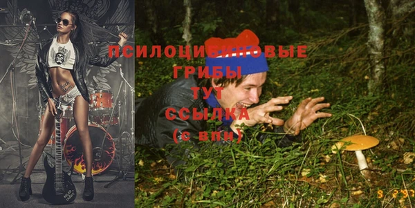 гашик Вяземский